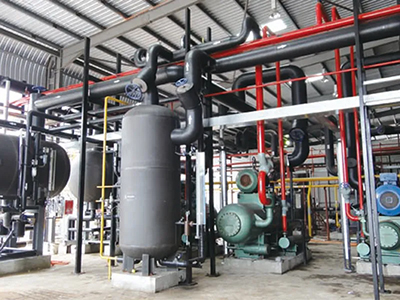 Проект по переработке цыплят-бройлеров (Малайзия)