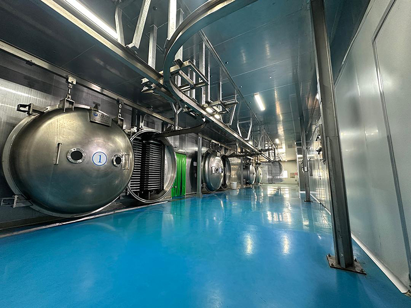 Проект сублимационной сушки в Яньтае