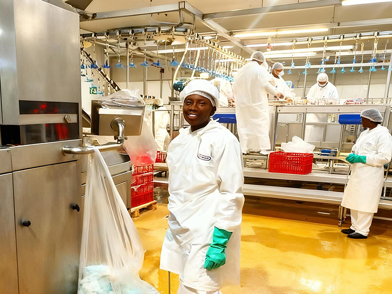 Проект спирального морозильного оборудования для компании BC, Южная Африка