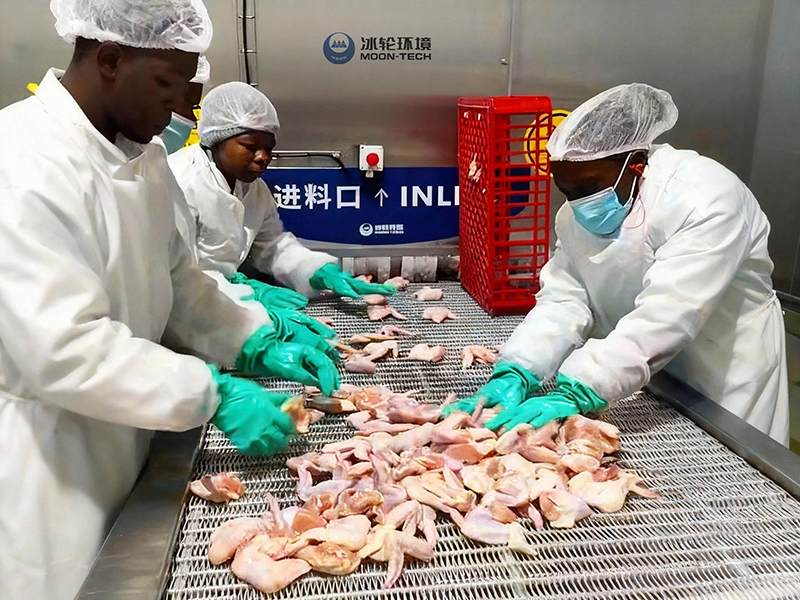 Проект спирального морозильного оборудования для компании BC, Южная Африка