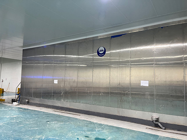 Морозильная установка IQF для проекта по переработке клубники в Египте