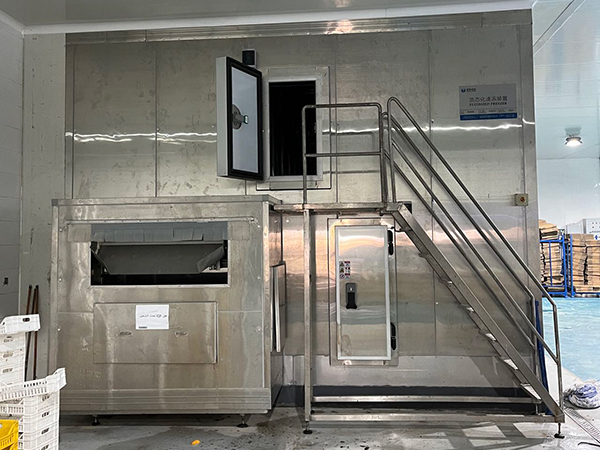 Морозильная установка IQF для проекта по переработке клубники в Египте