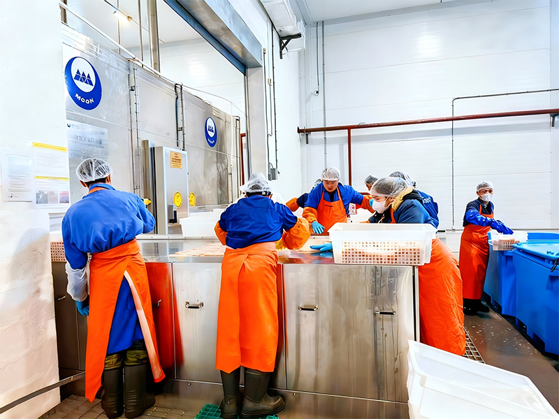 Проект плиточной заморозки и холодильного хранения в России